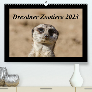 Dresdner Zootiere 2023 (Premium, hochwertiger DIN A2 Wandkalender 2023, Kunstdruck in Hochglanz) von Weirauch,  Michael
