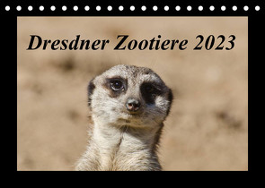 Dresdner Zootiere 2023 (Tischkalender 2023 DIN A5 quer) von Weirauch,  Michael