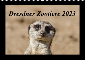 Dresdner Zootiere 2023 (Wandkalender 2023 DIN A2 quer) von Weirauch,  Michael