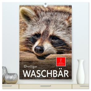 Drolliger Waschbär (hochwertiger Premium Wandkalender 2024 DIN A2 hoch), Kunstdruck in Hochglanz von Roder,  Peter