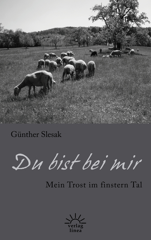 Du bist bei mir von Slesak,  Günther