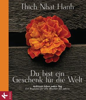 Du bist ein Geschenk für die Welt von Hennig,  Lothar, Mayer,  Heike, Thich,  Nhat Hanh