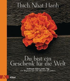 Du bist ein Geschenk für die Welt von Hennig,  Lothar, Mayer,  Heike, Thich,  Nhat Hanh