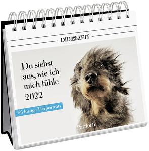 Du siehst aus, wie ich mich fühle 2022