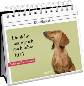 Du siehst aus, wie ich mich fühle 2023 von Pattloch Verlag