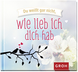 Du weißt gar nicht, wie lieb ich dich hab von Groh Verlag