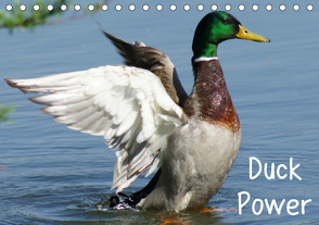 Duck Power (Tischkalender 2021 DIN A5 quer) von kattobello