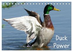 Duck Power (Tischkalender 2024 DIN A5 quer), CALVENDO Monatskalender von Kattobello,  Kattobello