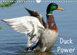 Duck Power (Wandkalender 2023 DIN A4 quer) von kattobello