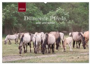 Dülmener Pferde, wild und schön (Wandkalender 2024 DIN A2 quer), CALVENDO Monatskalender von Keller,  Angelika