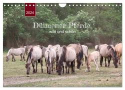 Dülmener Pferde, wild und schön (Wandkalender 2024 DIN A4 quer), CALVENDO Monatskalender von Keller,  Angelika