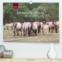 Dülmener Pferde, wild und schön (Premium, hochwertiger DIN A2 Wandkalender 2023, Kunstdruck in Hochglanz) von Keller,  Angelika