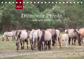 Dülmener Pferde, wild und schön (Tischkalender 2023 DIN A5 quer) von Keller,  Angelika