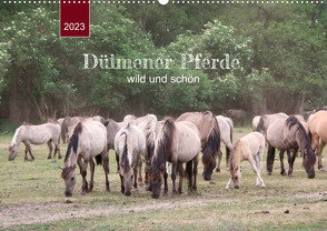 Dülmener Pferde, wild und schön (Wandkalender 2023 DIN A2 quer) von Keller,  Angelika