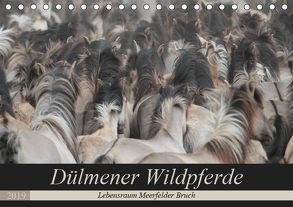 Dülmener Wildpferde – Lebensraum Meerfelder Bruch (Tischkalender 2019 DIN A5 quer) von Mielewczyk,  Barbara