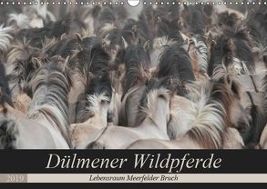 Dülmener Wildpferde – Lebensraum Meerfelder Bruch (Wandkalender 2019 DIN A3 quer) von Mielewczyk,  Barbara