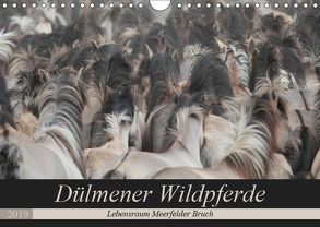 Dülmener Wildpferde – Lebensraum Meerfelder Bruch (Wandkalender 2019 DIN A4 quer) von Mielewczyk,  Barbara