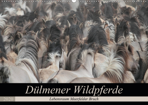 Dülmener Wildpferde – Lebensraum Meerfelder Bruch (Wandkalender 2020 DIN A2 quer) von Mielewczyk,  Barbara