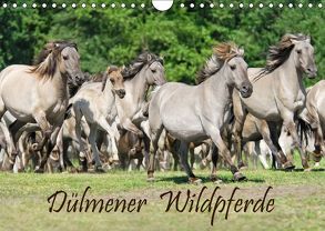 Dülmener Wildpferde (Wandkalender 2018 DIN A4 quer) von Menden,  Katho