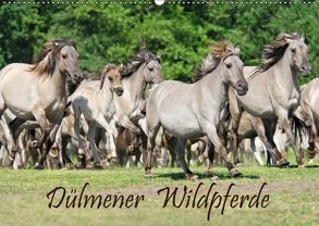 Dülmener Wildpferde (Wandkalender 2019 DIN A2 quer) von Menden,  Katho