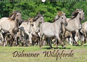 Dülmener Wildpferde (Wandkalender 2019 DIN A3 quer) von Menden,  Katho