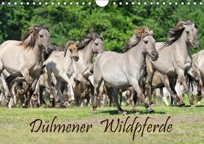 Dülmener Wildpferde (Wandkalender 2019 DIN A4 quer) von Menden,  Katho