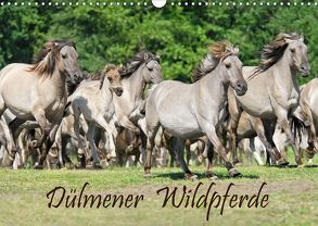 Dülmener Wildpferde (Wandkalender 2020 DIN A3 quer) von Menden,  Katho