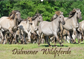 Dülmener Wildpferde (Wandkalender 2021 DIN A2 quer) von Menden,  Katho