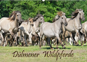 Dülmener Wildpferde (Wandkalender 2022 DIN A2 quer) von Menden,  Katho