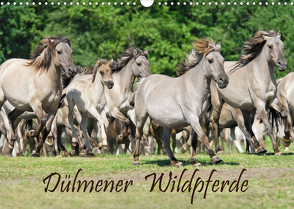 Dülmener Wildpferde (Wandkalender 2022 DIN A3 quer) von Menden,  Katho