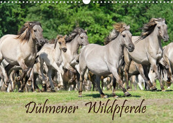 Dülmener Wildpferde (Wandkalender 2023 DIN A3 quer) von Menden,  Katho