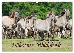 Dülmener Wildpferde (Wandkalender 2024 DIN A2 quer), CALVENDO Monatskalender von Menden,  Katho