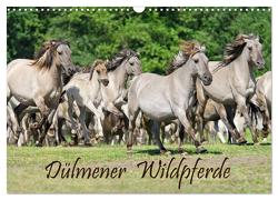 Dülmener Wildpferde (Wandkalender 2024 DIN A3 quer), CALVENDO Monatskalender von Menden,  Katho