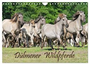 Dülmener Wildpferde (Wandkalender 2024 DIN A4 quer), CALVENDO Monatskalender von Menden,  Katho