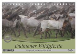 Dülmener Wildpferde – Wildpferde im Meerfelder Bruch (Tischkalender 2024 DIN A5 quer), CALVENDO Monatskalender von Mielewczyk,  B.