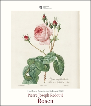 DuMonts Botanisches Kabinett – Rosen von P.J. Redouté – Kunstkalender 2020 – Wandkalender im Hochformat 34,5 x 40 cm von DUMONT Kalenderverlag, Redouté,  Pierre-Joseph