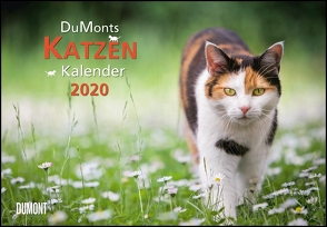 DuMonts Katzenkalender 2020 – Broschürenkalender – Wandkalender – mit Schulferienterminen – Format 42 x 29 cm von DUMONT Kalenderverlag, Jorjan,  Jette