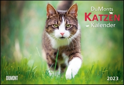 DUMONTS Katzenkalender 2023 – Broschürenkalender – Wandkalender – mit Schulferienterminen – Format 42 x 29 cm von Jorjan,  Jette