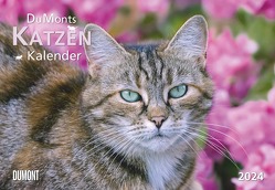 DUMONTS Katzenkalender 2024 – Broschürenkalender – Wandkalender – mit Schulferienterminen – Format 42 x 29 cm von Jorjan,  Jette
