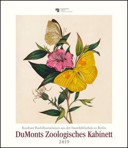 DuMonts Zoologisches Kabinett – Kunstkalender 2019 – Wandkalender im Hochformat 34,5 x 40 cm von DUMONT Kalenderverlag, Edward,  Donovan