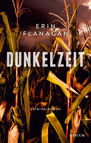 Dunkelzeit von Flanagan,  Erin, Hartz,  Cornelius, Kremer,  Stefanie