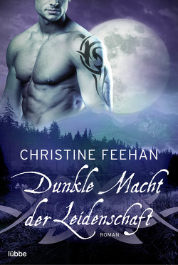 Dunkle Macht der Leidenschaft von Feehan,  Christine, Nirschl,  Anita