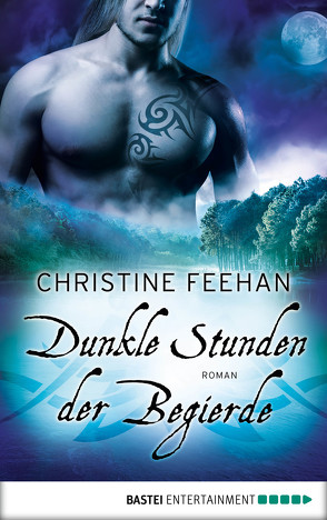 Dunkle Stunden der Begierde von Feehan,  Christine, Nirschl,  Anita