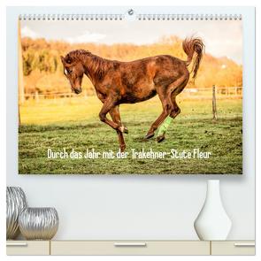 Durch das Jahr mit der Trakehner-Stute Fleur (hochwertiger Premium Wandkalender 2024 DIN A2 quer), Kunstdruck in Hochglanz von Pfeifer,  Romy