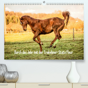 Durch das Jahr mit der Trakehner-Stute Fleur (Premium, hochwertiger DIN A2 Wandkalender 2020, Kunstdruck in Hochglanz) von Pfeifer,  Romy