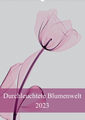 Durchleuchtete Blumenwelt 2023 (Wandkalender 2023 DIN A2 hoch) von Reba,  Aleksandar