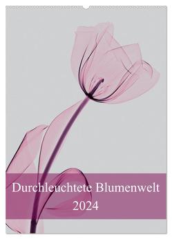 Durchleuchtete Blumenwelt 2024 (Wandkalender 2024 DIN A2 hoch), CALVENDO Monatskalender von Reba,  Aleksandar