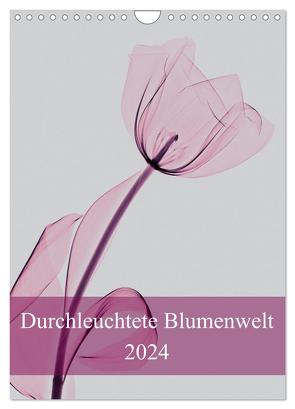 Durchleuchtete Blumenwelt 2024 (Wandkalender 2024 DIN A4 hoch), CALVENDO Monatskalender von Reba,  Aleksandar