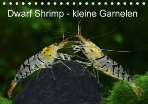 Dwarf Shrimp – kleine Garnelen (Tischkalender 2018 DIN A5 quer) von Pohlmann,  Rudolf
