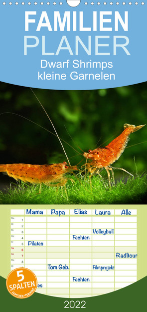 Dwarf Shrimps – kleine Garnelen – Familienplaner hoch (Wandkalender 2022 , 21 cm x 45 cm, hoch) von Pohlmann,  Rudolf